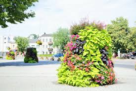 Siedzibą władz gminy jest miasto grodzisk mazowiecki. Jak Ukwiecono Grodzisk Mazowiecki Inspirowani Natura