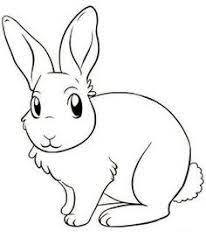  20 Ide Kelinci Kelinci Gambar Kelinci Halaman Mewarnai