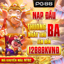 News source: Báo Trà Vinh