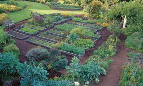 In addition to considering the flowers on fruits and vegetables in your kitchen garden, you might also consider eating edible flowers found on fruiting trees or shrubs. Edible Flowers Enliven A Garden Finegardening