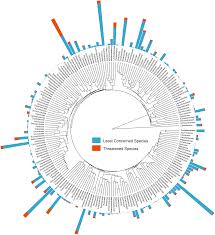 Image result for Sladeniaceae