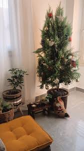 I'm quite proud of this christmas clip art compilation because i made the images myself at picnik.com. Spreading Holiday Spirit With This Compilation Of Christmas Trees In Egyptian Homes Egyptian Streets