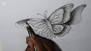 Drawing an eye | step by step with colored pencils. Drawing 3d Butterfly With Pencil Youtube