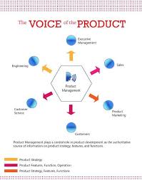 Management Product Management Is A Core Marketing Function That Provides Substantial Value Infographicnow Com Your Number One Source For Daily Infogra Product Development Process Management Infographic Management
