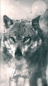 Ilustración de lobo, lobo, espacio, galaxia, durmiendo, fondo de pantalla hd. 13ds1 Black Forest Dark Souls Forest Lobo Sif Wolf Hd Mobile Wallpaper Peakpx
