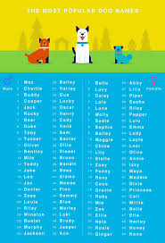 If you're having trouble deciding on the best one, pick out your favorites to help narrow it down. 24 Dog Names Ideas In 2021 Dog Names Cute Names For Dogs Puppy Names