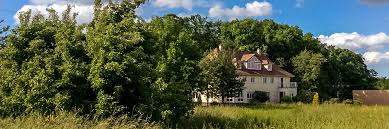 Our friendly staff has experience both in akc shows and competitive grooming. Start Haus Der Familie Straubenhardt