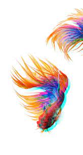 Beta Fish Pisces Iphone Wallpaper Background Lockscreen