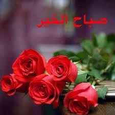 صور مكتوب عليها صباح الورد احلى صور صباح العسل صباح الخير in 2021 flowers for you rose flowers