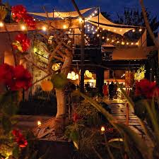 The next morning you can be boating next to dolphins and spouting whales for a hangover cure. New Restaurant In San Jose Del Cabo Review Of Jardin Secreto Cabo San Jose Del Cabo Mexico Tripadvisor