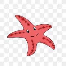 Sea Send A Big Star Spongebob The Product Of The Sea Starfish Clipart Big Eyes Hand Drawn Starfish Illustration Png Transparent Clipart Image And Psd File Fo Starfish Clipart Big Eyes