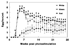 The value of turkey eggs differs if you are selling them as hatching eggs ($3 to $6 per egg) or if you are selling them for consumption. Photostimulation Effects On Reproductive Activities Of Domestic Birds Engormix