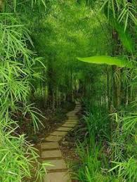 Check spelling or type a new query. Azizah Masran Azizahmasran Profil Pinterest