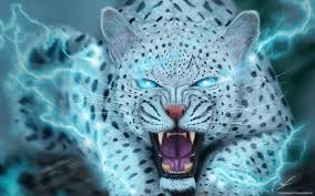 Download and use 80,000+ animal wallpaper stock photos for free. Fantasy Art Artwork Cat Animal Magic Wallpapers Hd Desktop And Mobile Backgrounds