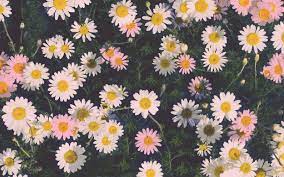 See more ideas about desktop wallpaper, wallpaper, dress your tech. Tumblr Desktop Wallpapers Top Free Tumblr Desktop Backgrounds Wallpaperaccess