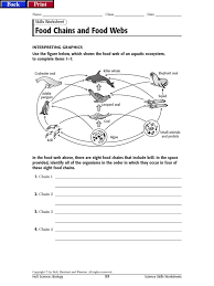A food web is a network of interconnected food chains. Food Chains Worksheet Pdf Food Web Biomass Ecology