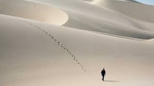 Skeleton coast in the north west of namibia mightn't … Shipwreck Lodge Luxury African Safaris South America South Asia Tours Andbeyond