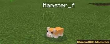 (1 hour ago) sep 30, 2020 · 18.7k. Minecraft 3d Gun Mod Testing Kelas Baca C