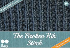 The sweater will fit a small or lap dog and features a collar and velcro closure below the dog's chest. Simple Cable Eknitting Stitches