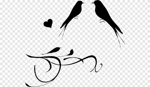 Berikut ini beberapa jenis lovebird dan gambarnya yang bisa menjadi inspirasi anda dalam mencari informasi tentang. Gambar Pernikahan Lovebird Stasiun Cabang Burung Cinta Hewan Png Pngegg