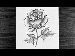 Pin On Flower Drawing Tutorials