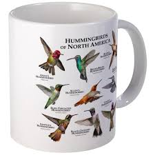 We did not find results for: Amazon Com Cafepress Bird 11oz Coffee Mug Microwave And Dishwasher Safe Hummingbirds Of North America White Kitchen Dining