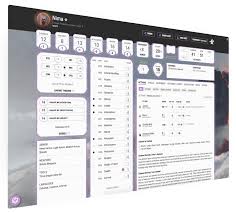D D Beyond Character Sheet