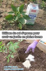 23 Astuces Ingenieuses Pour Vous Simplifier Le Jardinage Jardinage Jardinage Biologique Astuce Jardin