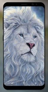Check spelling or type a new query. Download White Lion Wallpaper Hd On Pc Mac With Appkiwi Apk Downloader