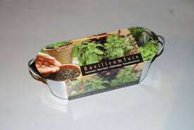 Echter zink zeichnet sich durch korrosionsbeständigkeit aus. Basilikum Zinkwanne Fur Den Garten In Der Kuche Genoveser Dark Opal Zimtbasilikum Feinblattriges Basilikum Pflanzen Traum De