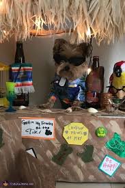 Hanging With The Pups Halloween Costume Contest At Costume Works Com Halloween Costume Contest Painted Boxes Pup