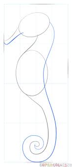 In this first simple step you will be drawing out the shape or frame of the seahorse. How To Draw A Realistic Seahorse Step By Step Drawing Tutorials Seahorse Drawing Drawing Tutorial Realistic Drawings