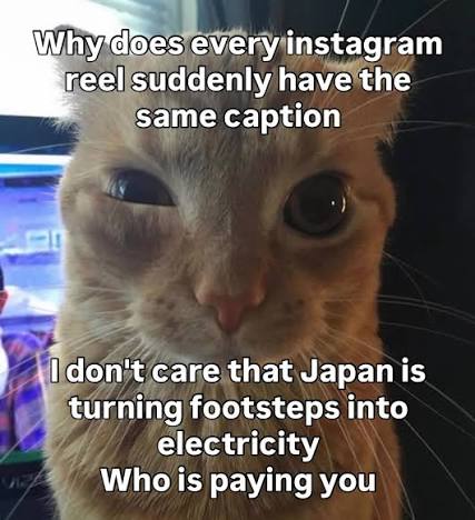 :(