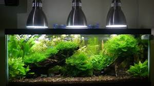 Show Me Your Diy Cfl Fixtures Aquascape Aquarium Lighting Planted Aquarium