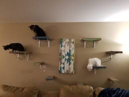 So makes these diy cat shelves for them. Diy Cat Shelves Tails Tips