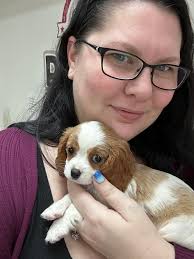 Introduction of new member Delilah in Cavalier King Charles Spaniels group