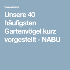 Unsere 40 Haufigsten Gartenvogel Kurz Vorgestellt Nabu Garten Vogel Im Garten Vorstellen