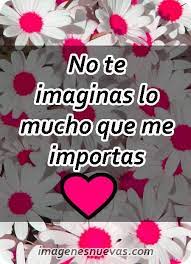 Increíbles imágenes gratis para descargar. Descargar Imagenes Bonitas De Amor Imagenes De Amor Gratis Imagenes Bonitas De Amor Descargar Imagenes De Amor