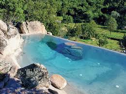 As tim evans from gartenart says, they. Sale Of Natural Pools Natural Ponds Biodesign Pools