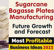Sugarcane Bagasse Plates Manufacturing