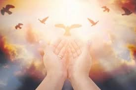 Как правильно просить прощение в Прощеное воскресенье 2024 года » Информационное агентство «GULKEVICHI.COM»