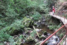 Visit the hiking attraction ravennaschlucht on your next hike. Wandern Ravennaschlucht Bei Hinterzarten Tour 165427