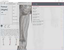 Not just an atlas, but an anatomy learning platform with unique collaboration and learnin. Windows 10 Complete Anatomy App Is A Worthy Download