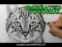 Sure, drawing someone standing straight up and down perfectly lined up with the camera isn't that tough. How To Draw A Cat Narrated Step By Step Tutorial Cute766