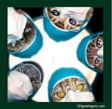 Biology Group Chat Names 84 Funny Whatsapp Group Names On Medical Slangs For Doctors Nurses Medical Students Medical Lovers Etc Online Greeting Doctor Humor Doctor Whatsapp Group