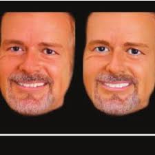 PDF) The Tipping Point of Animacy: How, When, and Where We Perceive Life in  a Face