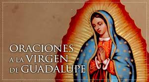 607 likes · 10 talking about this. Oraciones A La Virgen De Guadalupe Aci Prensa