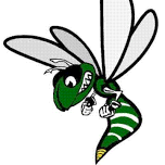 Fowlerville Girls Varsity Volleyball @ Williamston