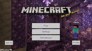 More by mojang see more. Bedrock Edition 1 17 2 Minecraft Wiki