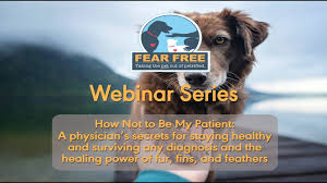 Use these coins to expand your we'll keep you updated with additional codes once they are released. Webinars Fear Free Pets